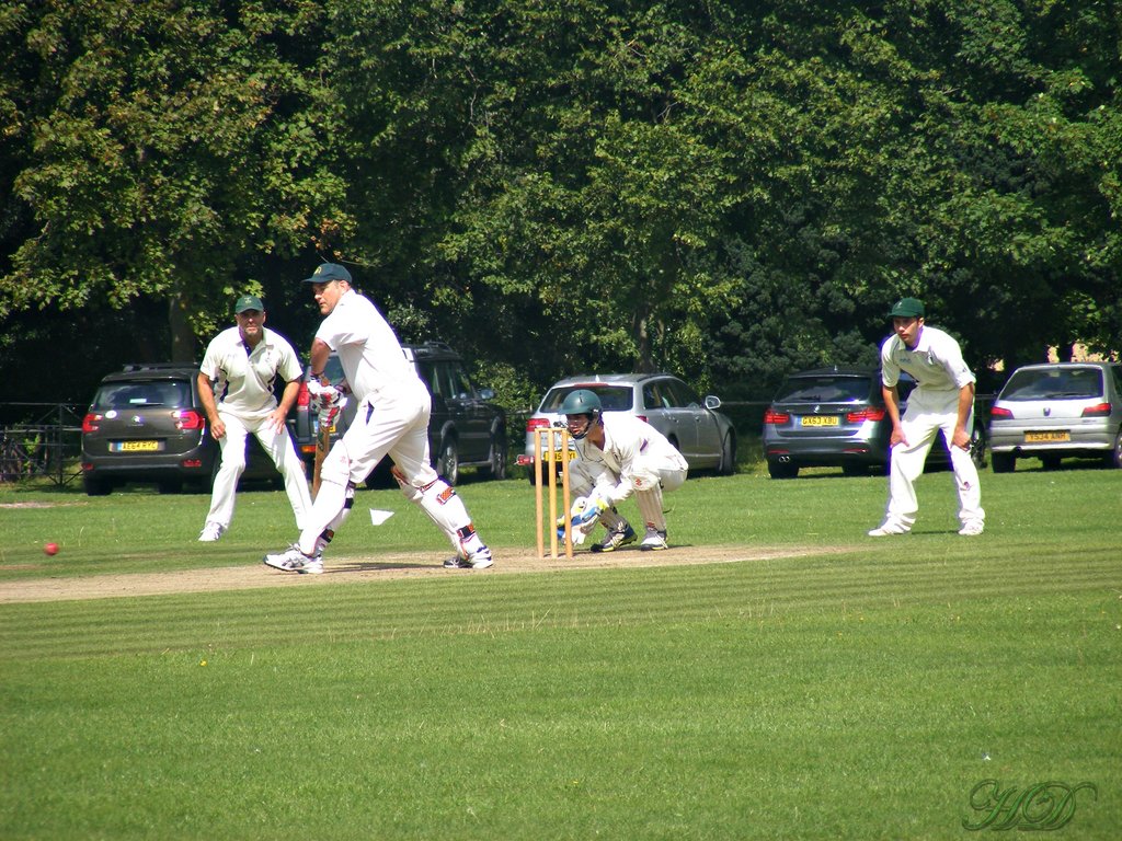Cricket-HD.jpg