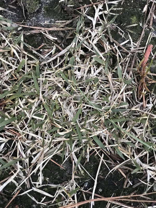 B59153E4-51BC-4988-9097-C8FFC2F274B0