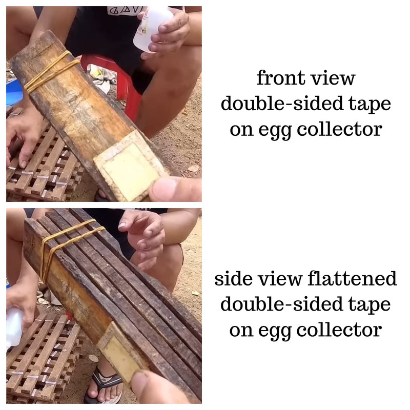 front-side-view-double-sided-tape-on-egg-collector.jpg