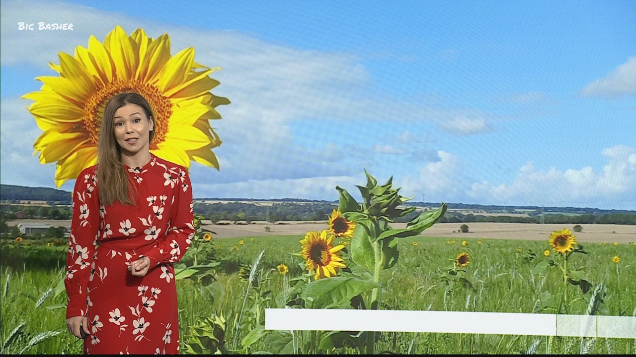 09.08 - 13.35.00 - Look North; Weather. The new film from Rogue One d....ts_snapshot_14.21.764