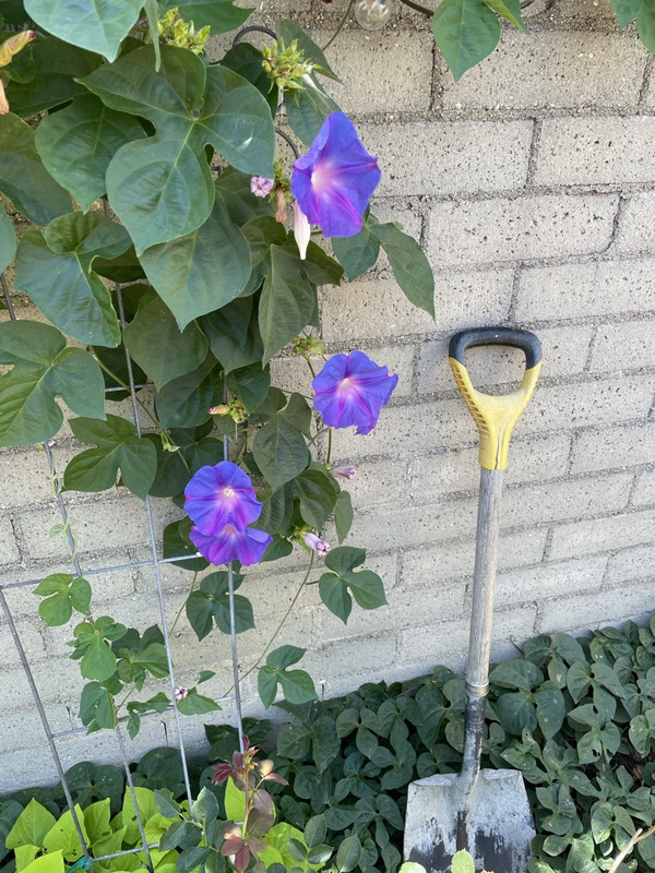 6-F14-E3-AE-E9-C5-47-F6-B86-F-0-A043-D3-B1348-1-105-c