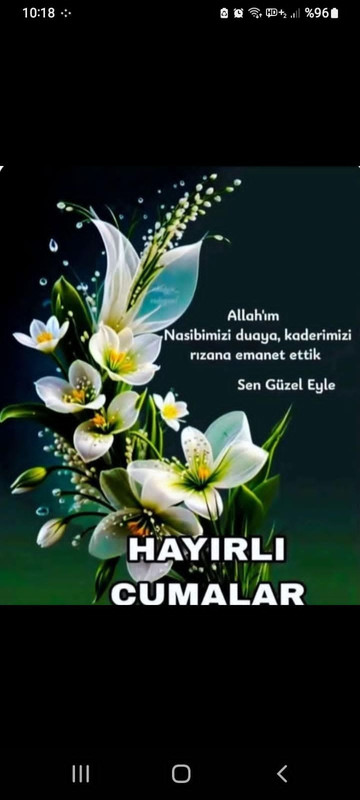IMG 20260403 WA0028
