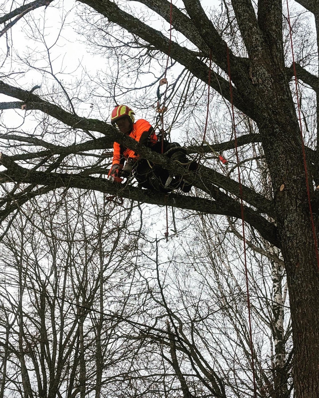 95A36305-4E89-42EC-AFA8-A50842DE84FB