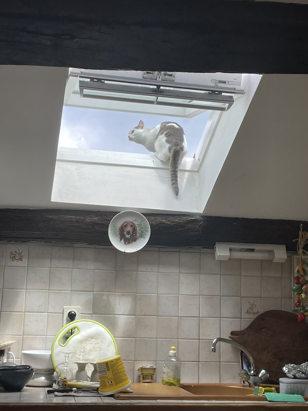 7E477418-CD36-476F-80DC-876DB74159E8