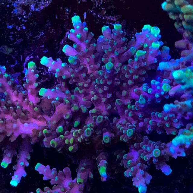 A664AA71-7DD8-4C72-A900-4C39BC64642E