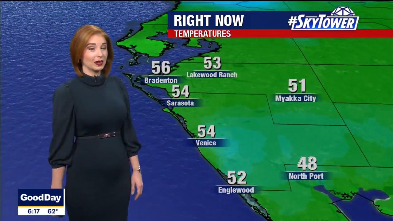 01 January - 11.00.00 - Good Day Tampa Bay @ 6AM. Local news, sp