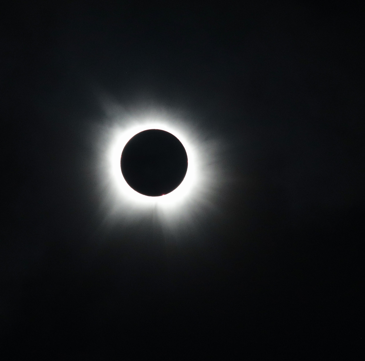 20240408130445 IMG 8371