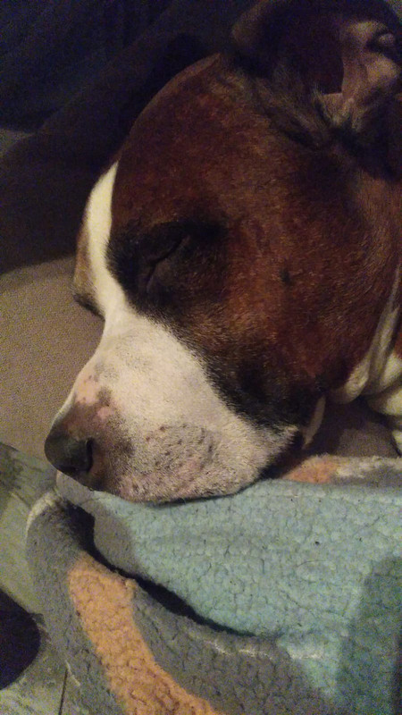 F868E1BC-CEBB-49F1-B63A-47D5B0888638