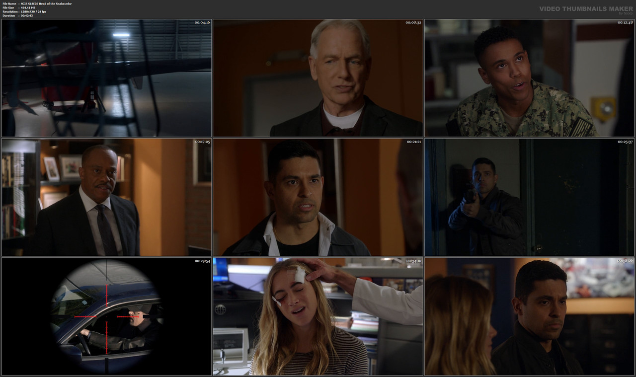 NCIS S18E05 Head of the Snake.mkv