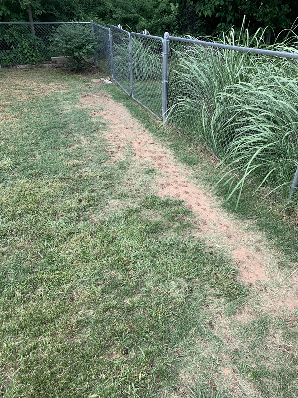 EA2545B5-8CF4-4933-9770-83A75D6FF6B4