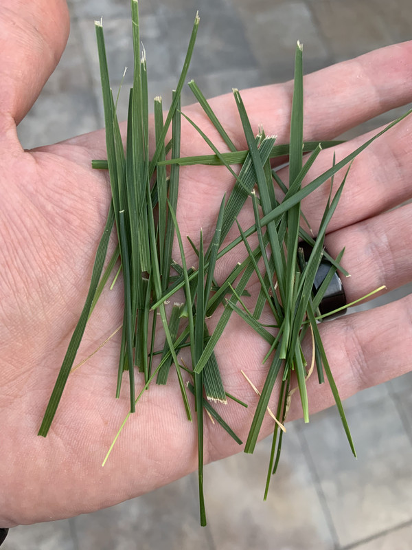 A8A25C3F-9298-4120-BA0C-D4D1EA3D6F52