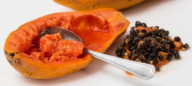 Can rabbits Eat Papaya Fruit