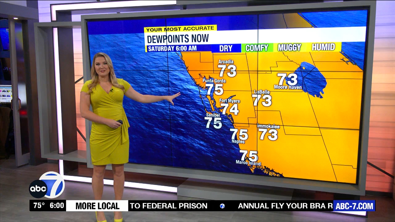 ABC7 More in the Morning Wkn 6am Sa_20231007_11001200.ts_snapshot_01.34.547