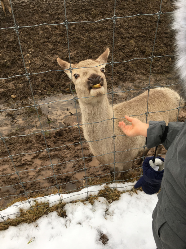 C2A4552A-3BDC-40B6-8ACB-44605A164028