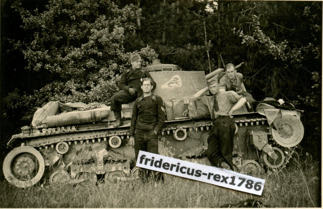 Foto Pz.Abt. Beute Panzer LT vz. 35 Skoda PzKpfw. 35 t mit Löwen Wappen