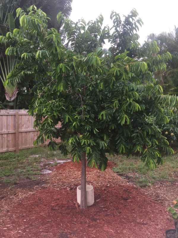 D66A0667-E903-4CA8-BBCA-5D9367E81948