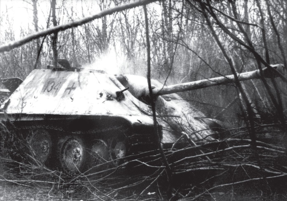 shwere panzer-jager abteilung 654 (3)