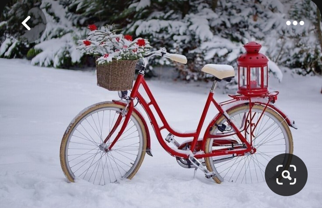 Screenshot_20240125_124157_Pinterest