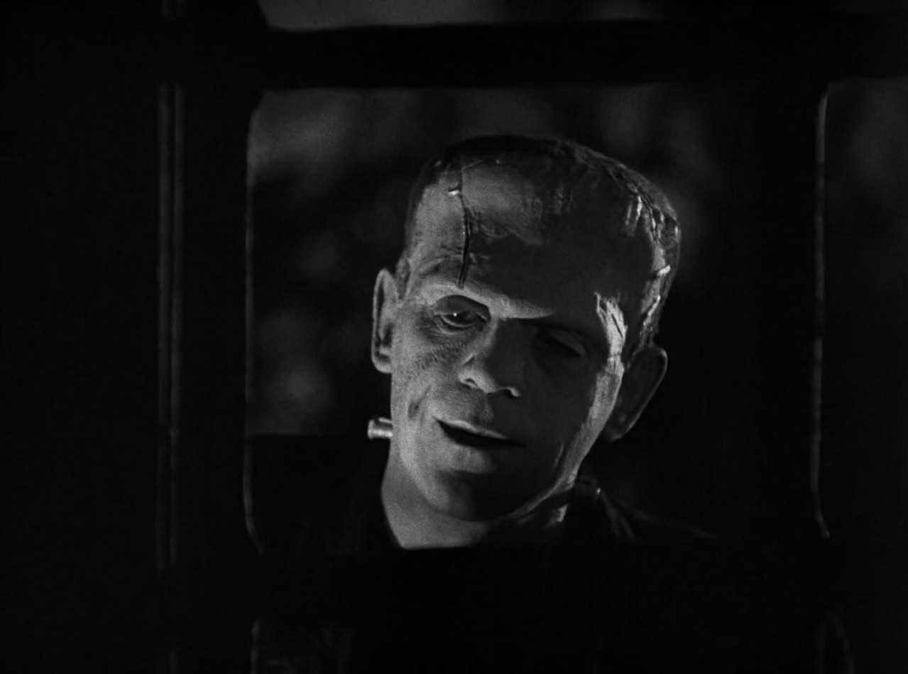 LA NOVIA DE FRANKENSTEIN mkv snapshot 00 36 19 805