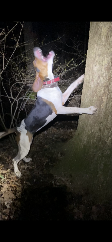 F57A47DD-FB1F-46A1-9561-85D968EE1640