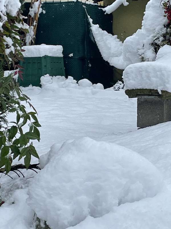 0CF6710C-BE08-45DE-BCF4-0F7F8F50E513