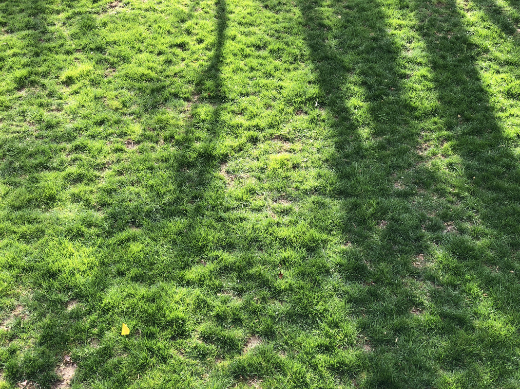 13B603E7-0693-42B6-B164-7D78DC1D2FC8