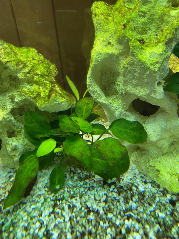 4022E524-AA0D-4C20-B61A-448C90F659F5