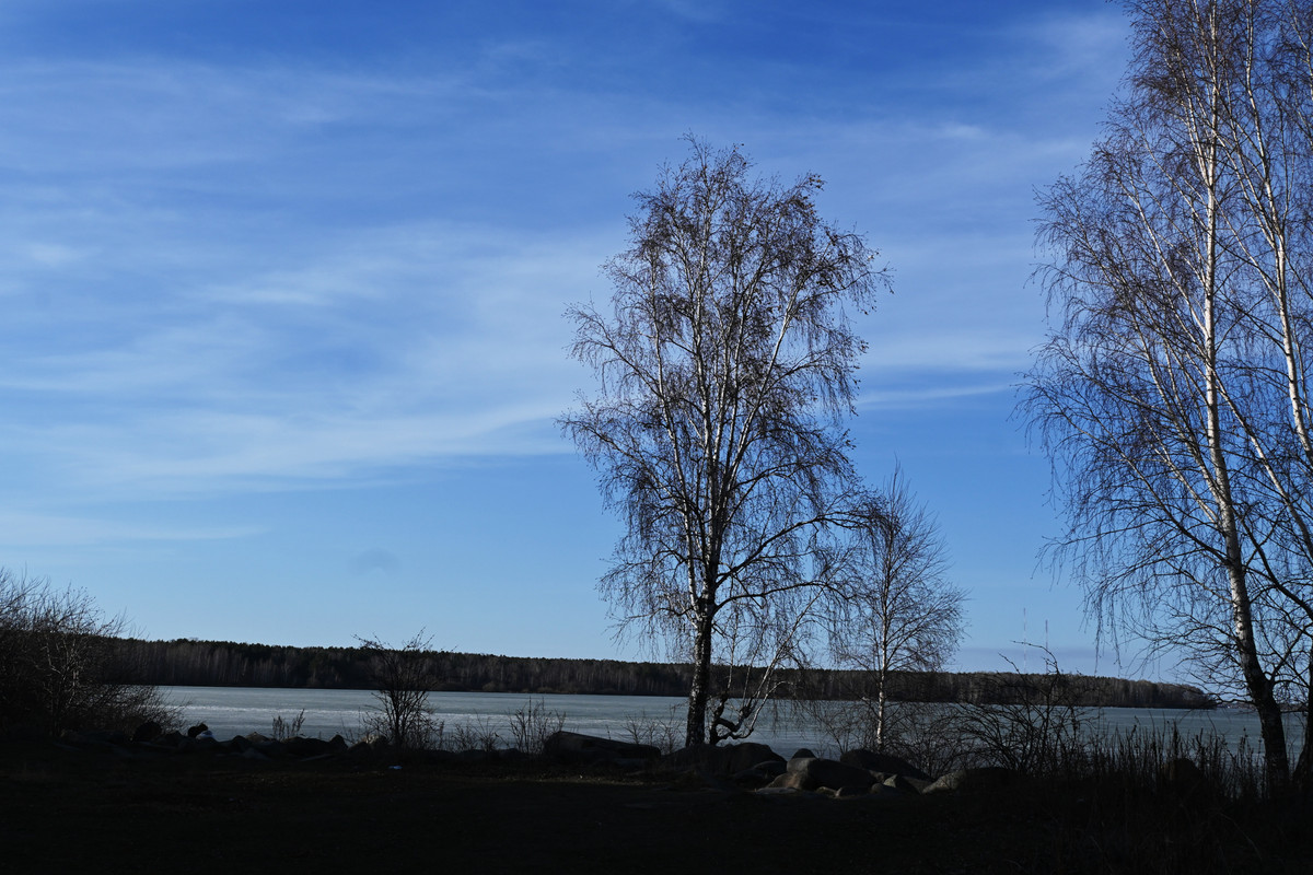 DSC-5544.jpg
