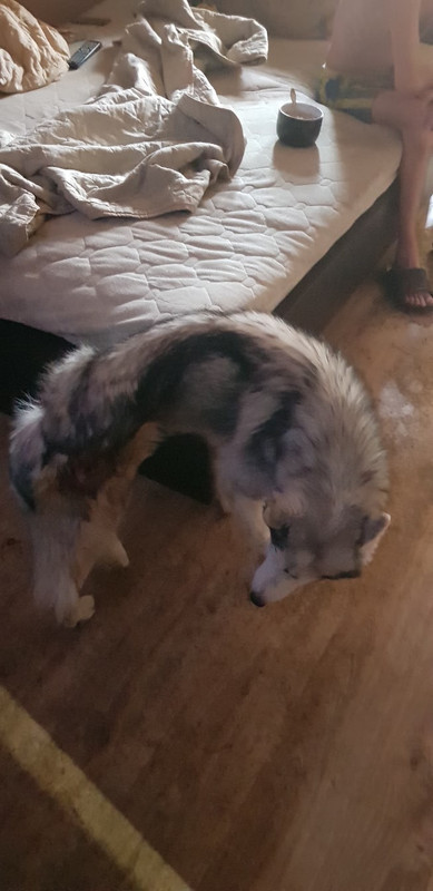 61058286-3672-4EF9-A860-F03A2260ED67