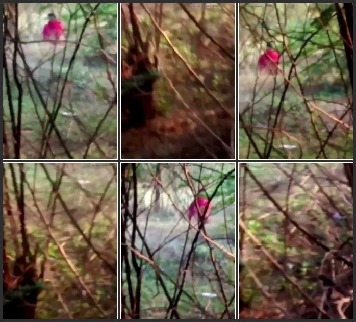 [Image: Village-outdoor-pissing-video-3-4.jpg]