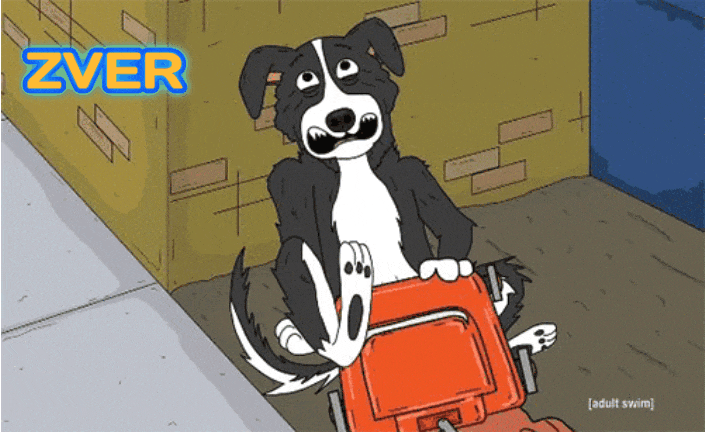 GIF-20250614-080816-076.gif