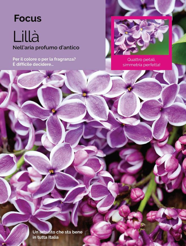 Il Mio Giar Apr-Mag 2022 (3)