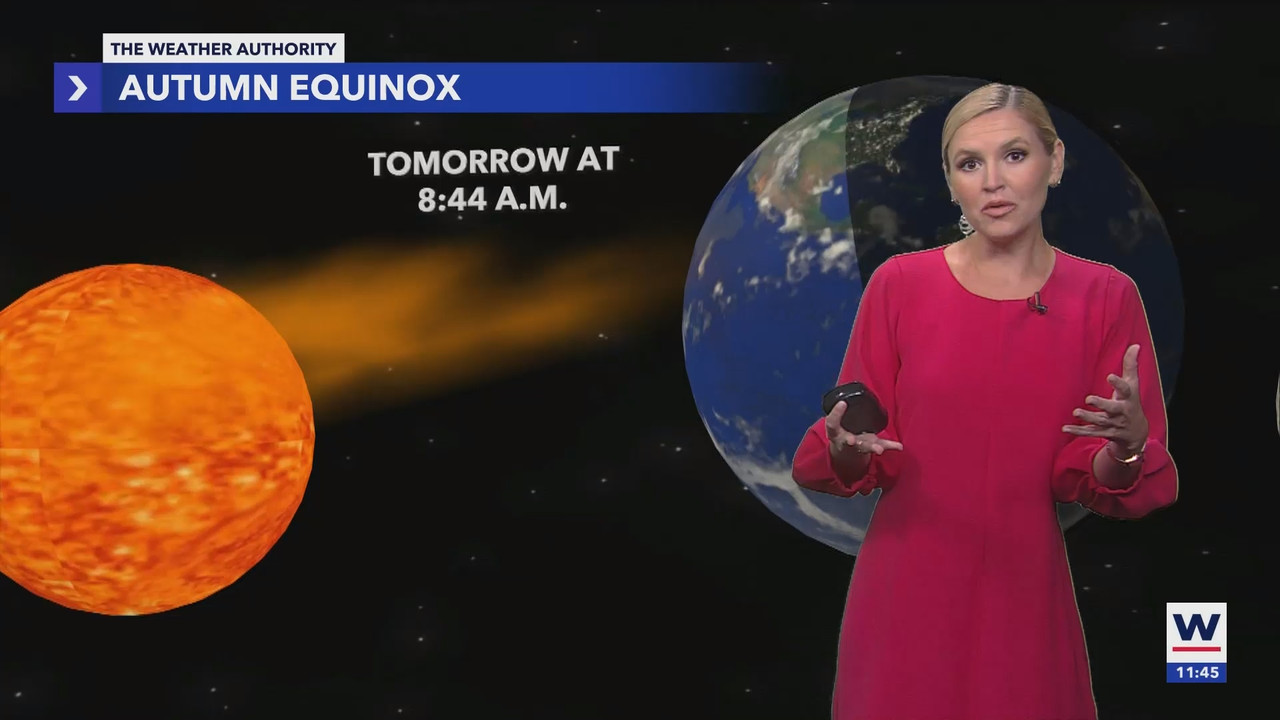 WINK News at 11_20240922_04000500.ts_snapshot_00.47.11.235