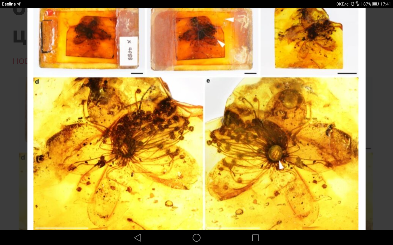 Screenshot_2023-01-14-17-41-54