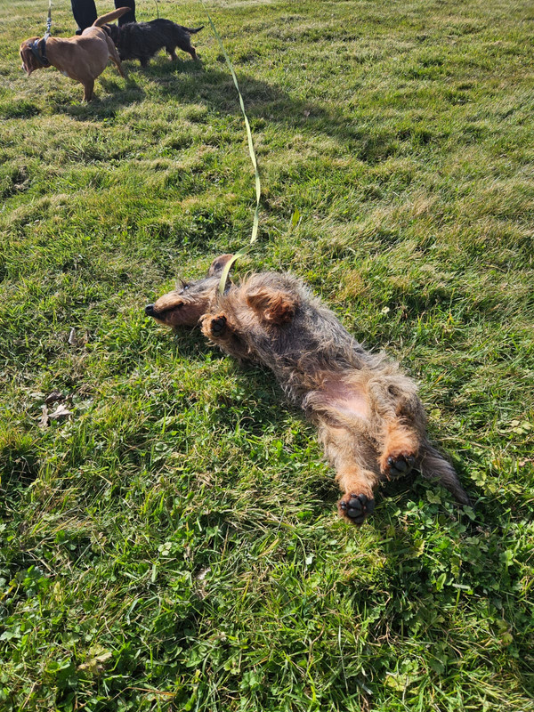 [Image: IMG-20250319-WA0011.jpg]