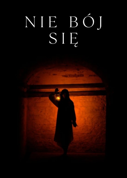 Nie bój się / An Taibhse (2024) PL | 360p | 480p | 720p | AC3.WEB-DL.XviD-GR4PE | DD2.0 | Lektor PL