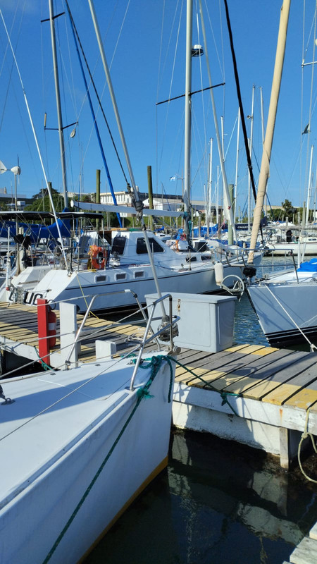 [Imagen: IMG-20251125-WA0028.jpg]