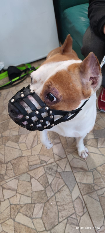 WhatsApp Image 2024-02-06 at 15.55.26 (1)