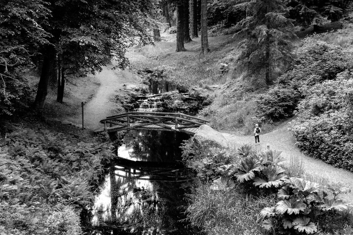 blackandwhitenorthumberland.jpg