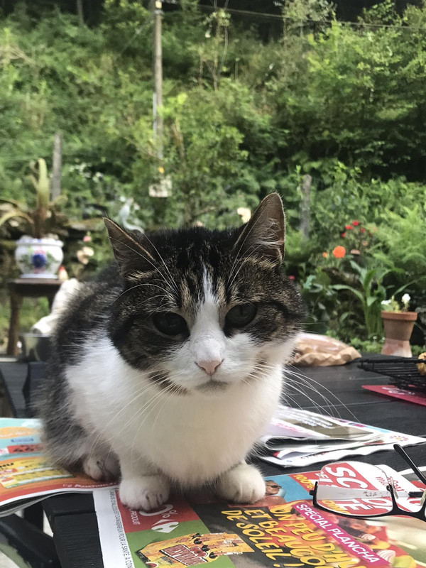 7B81DD6F-3BFC-4547-8C64-DF7B82EB35BE