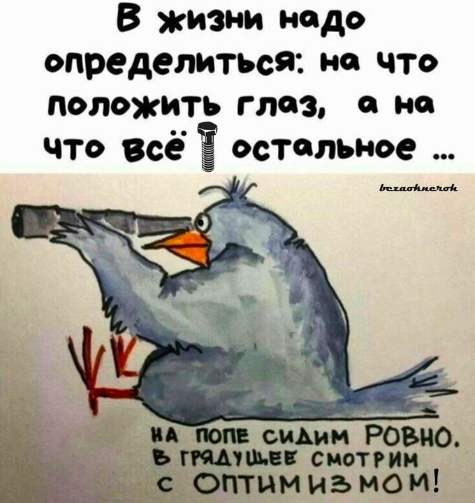 f43b39e2de3e1081fd6b748228f79269