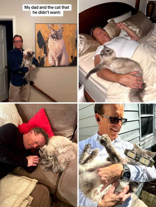 men-with-pets-they-never-wanted-69faf341f2ad3-700.jpg