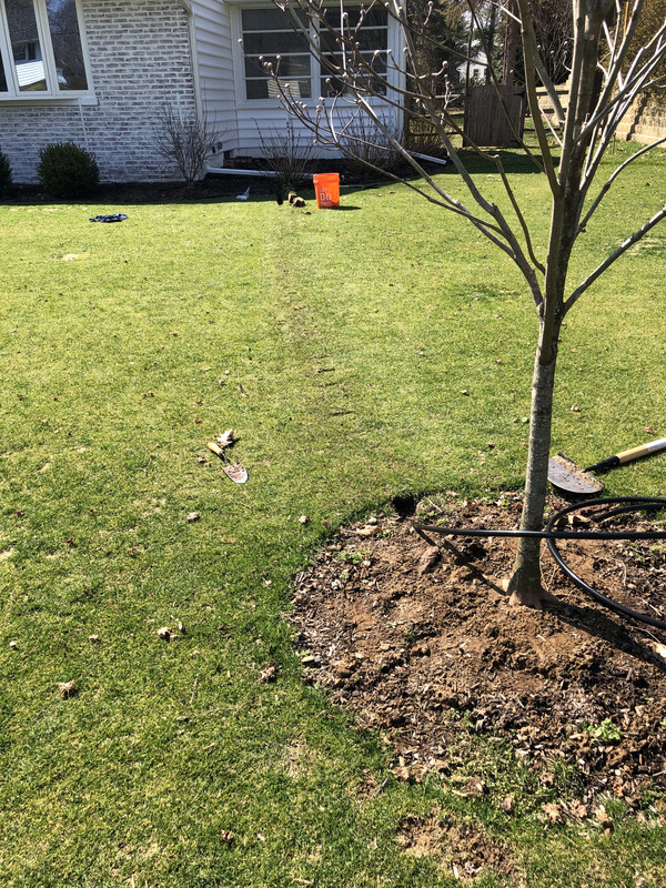 81462FC4-A6B6-489C-AC88-FFCCF245C18D