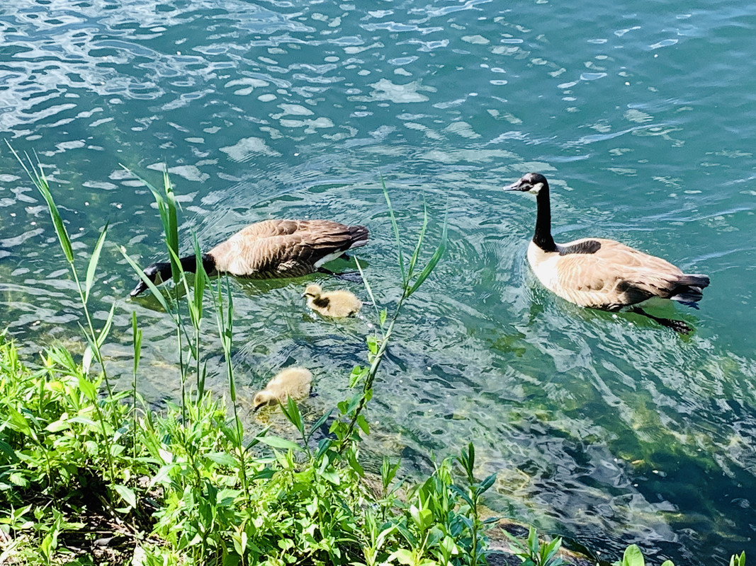 F61FF7AA-125C-4505-862C-EBE6AC63C0F3