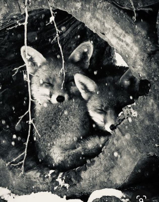 Screenshot_20231024_202229_Pinterest