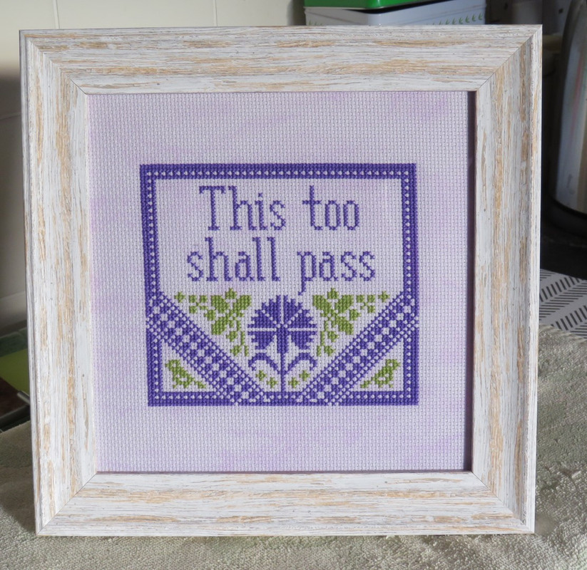 IMG_2636 (2) (Large)