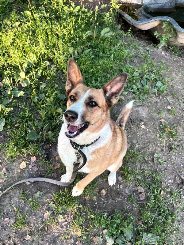 photo_2024-06-30_22-12-35