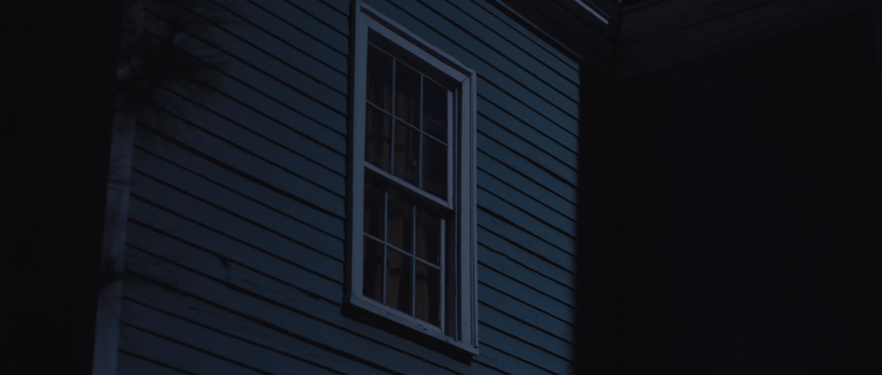 Wakefield (2016) (1080p Bluray x265 HEVC 10bit A