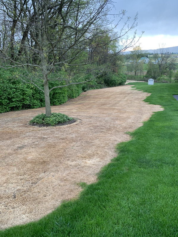 Photo May 07, 7 07 44 PM