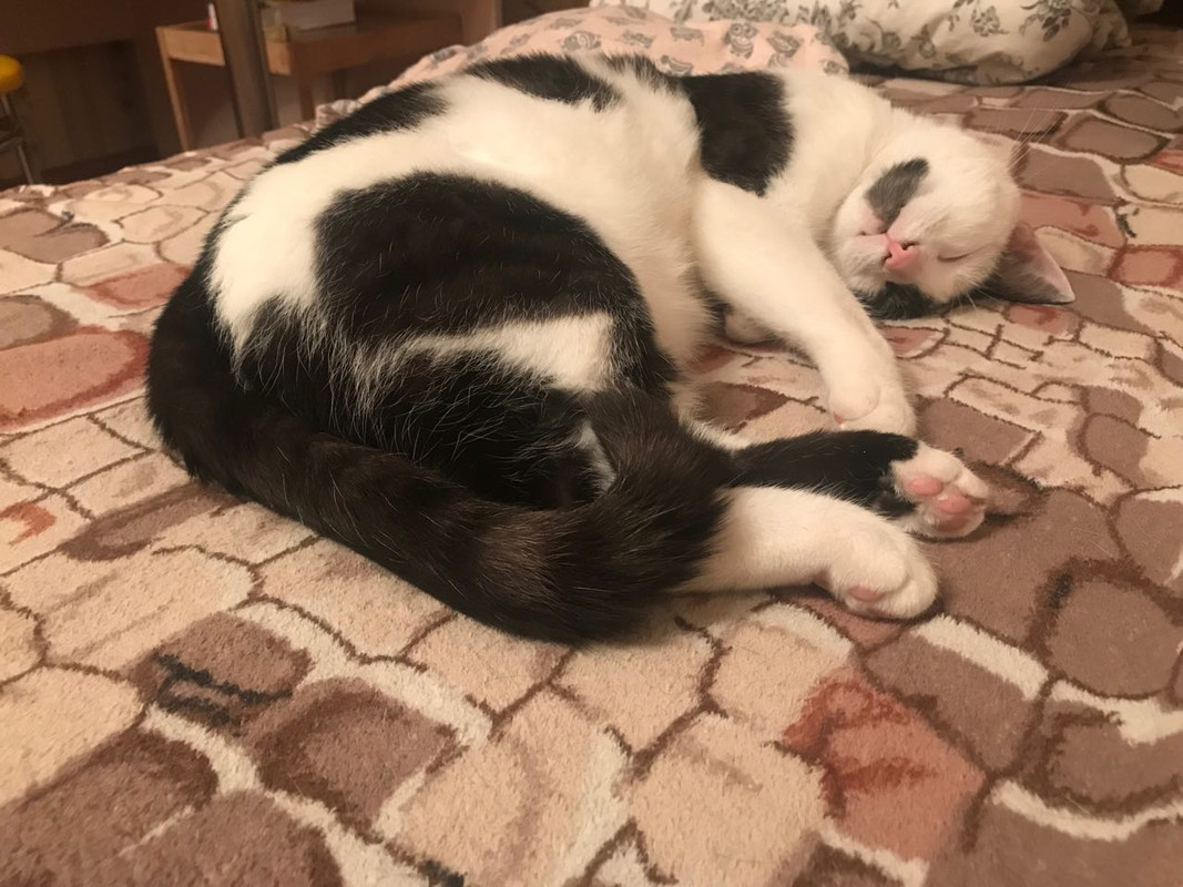 C3B82660-2AA5-44B3-885C-7595527D299F